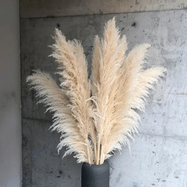 Aurea Meadow Boho Pampas Tørret Græs Hjem Dekor Accent