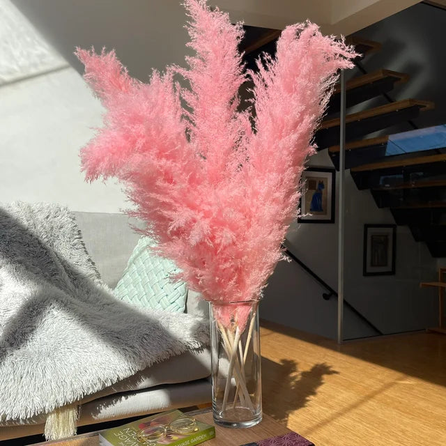 Aurea Meadow Boho Pampas Tørret Græs Hjem Dekor Accent