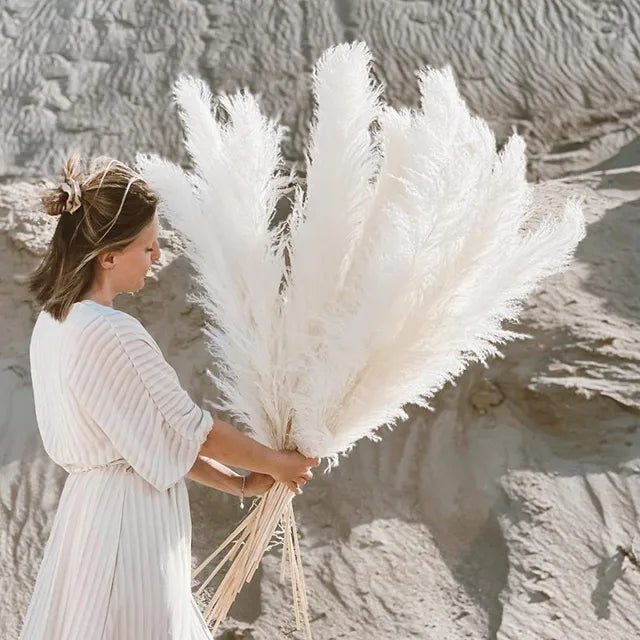 Aurea Meadow Boho Pampas Tørret Græs Hjem Dekor Accent
