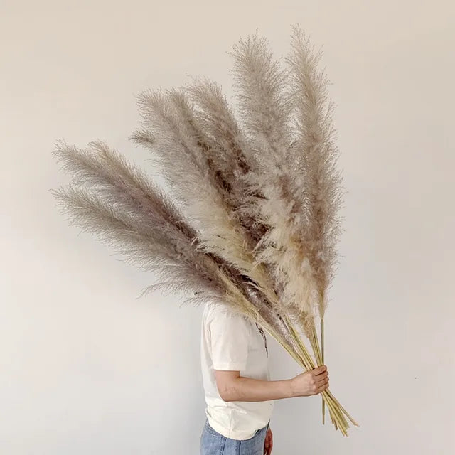 BohoBliss - Tørret Pampas Græs