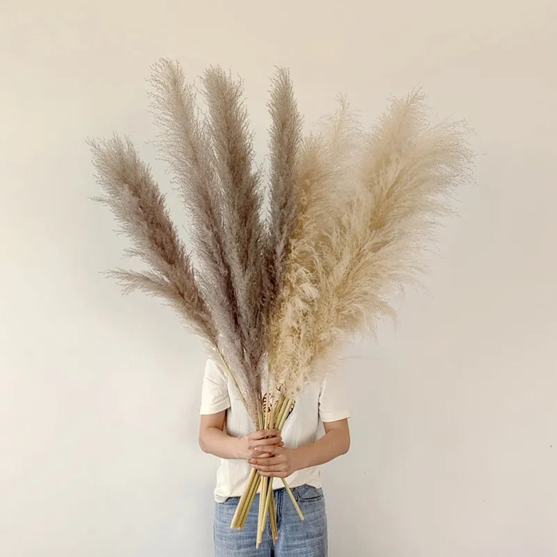 Aurea Meadow Boho Pampas Tørret Græs Hjem Dekor Accent