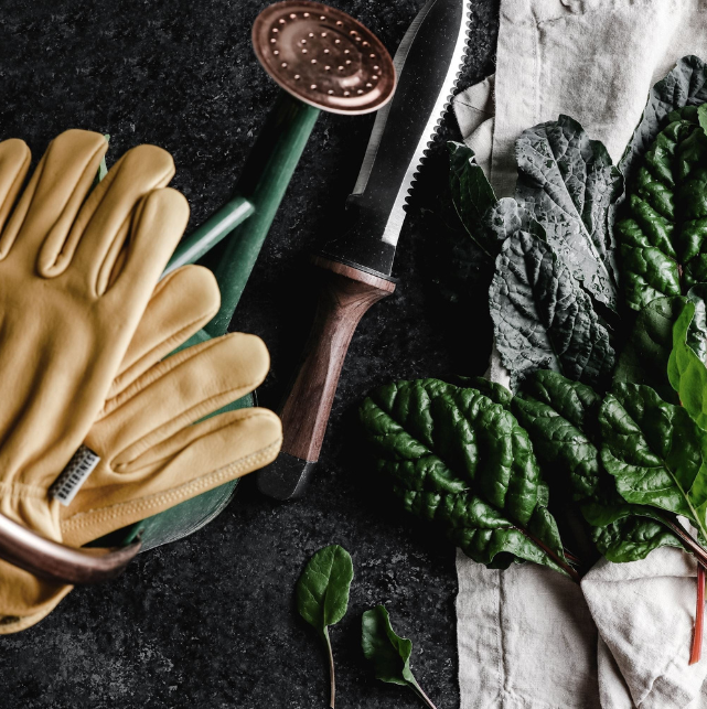 TrailForge Pro Grip Udendørs Overlevelseskniv Med Ergonomisk Håndtag Og Holdbar Klinge | Petprovac