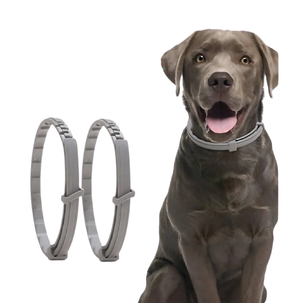 Zeckenschutz-Halsband til Hunde & Katte – Plantebaseret & Vandtæt