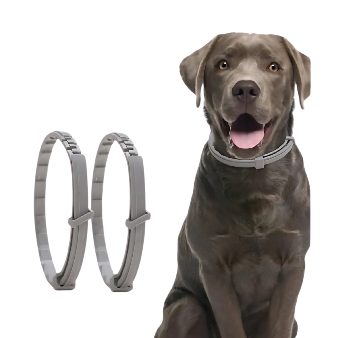 Zeckenschutz-Halsband til Hunde & Katte – Plantebaseret & Vandtæt