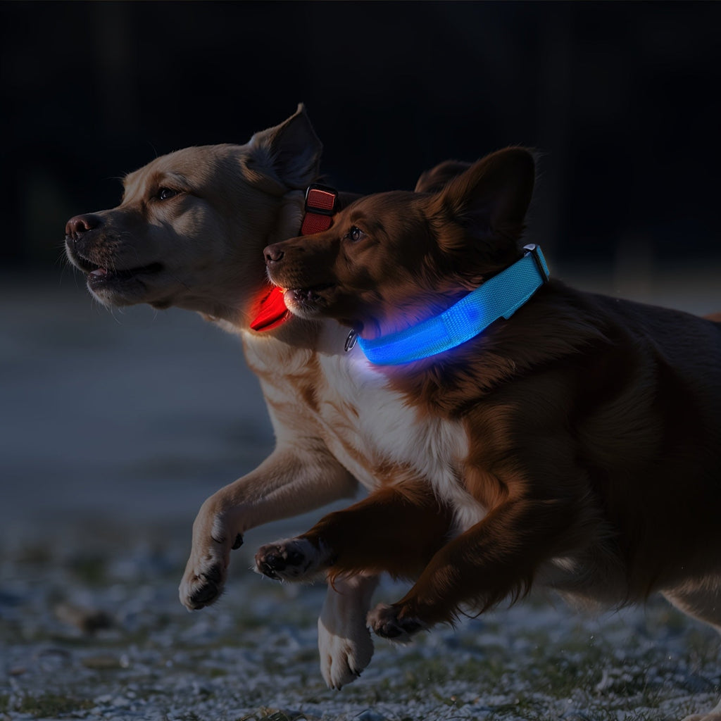 LED Hundehalsbånd med Belysning – Synligt og Sikkert om Natten