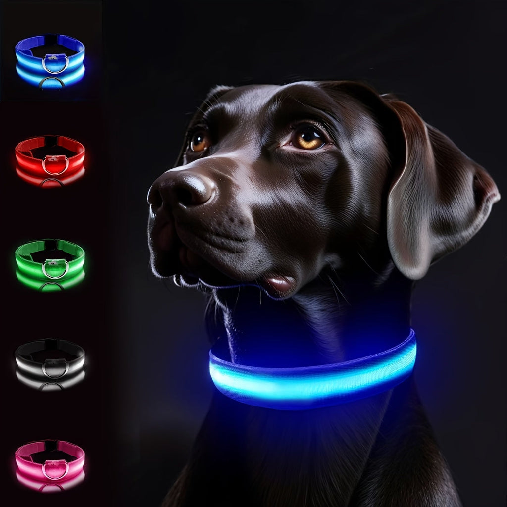 LED Hundehalsbånd med Belysning – Synligt og Sikkert om Natten