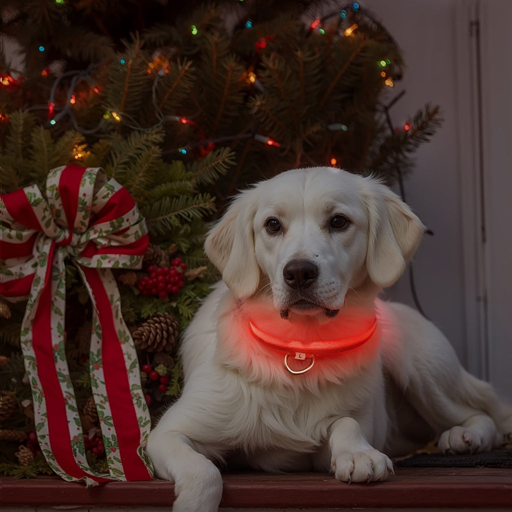 LED Hundehalsbånd med Belysning – Synligt og Sikkert om Natten