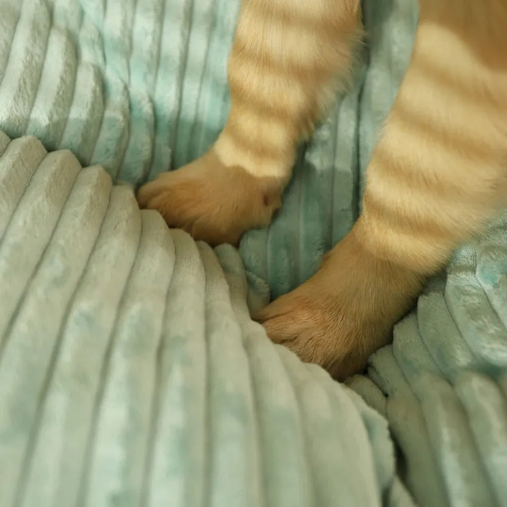 Ortopædisk Hundeseng til Store & Små Hunde | Vaskbart Hundepude | WuffNest
