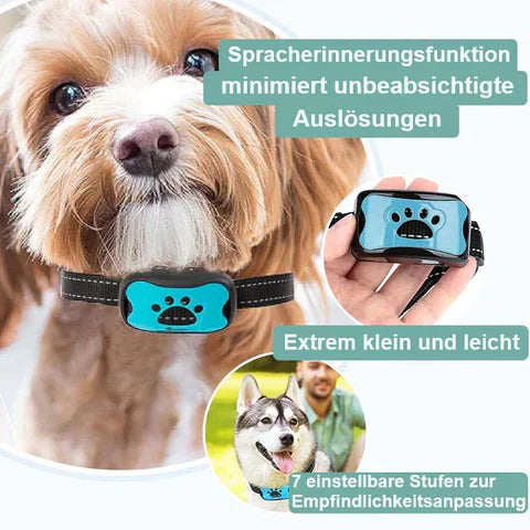 Anti-Bark-Halsbånd til et afslappet og roligt miljø