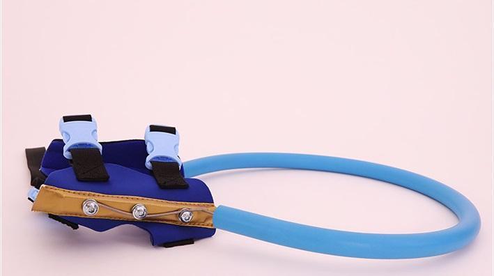 BrightGuide Sele Med Bumper Krave Til Blinde Hunde På Daglige Gåture