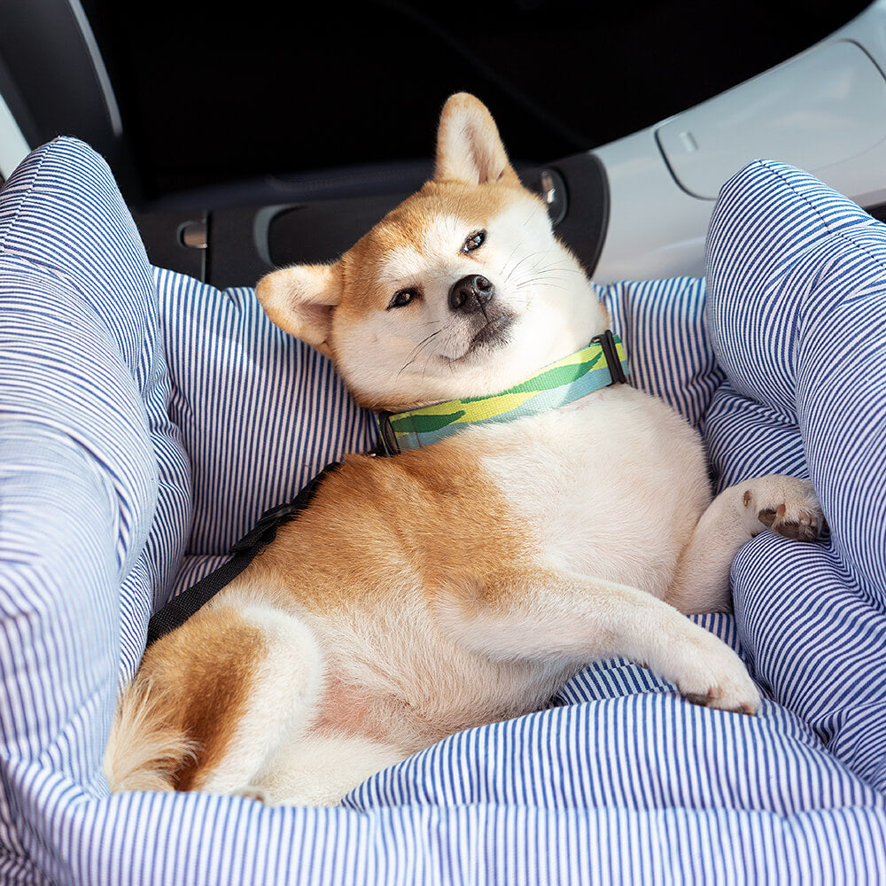 Behagelig hundekurv til bilen - TravelPaw