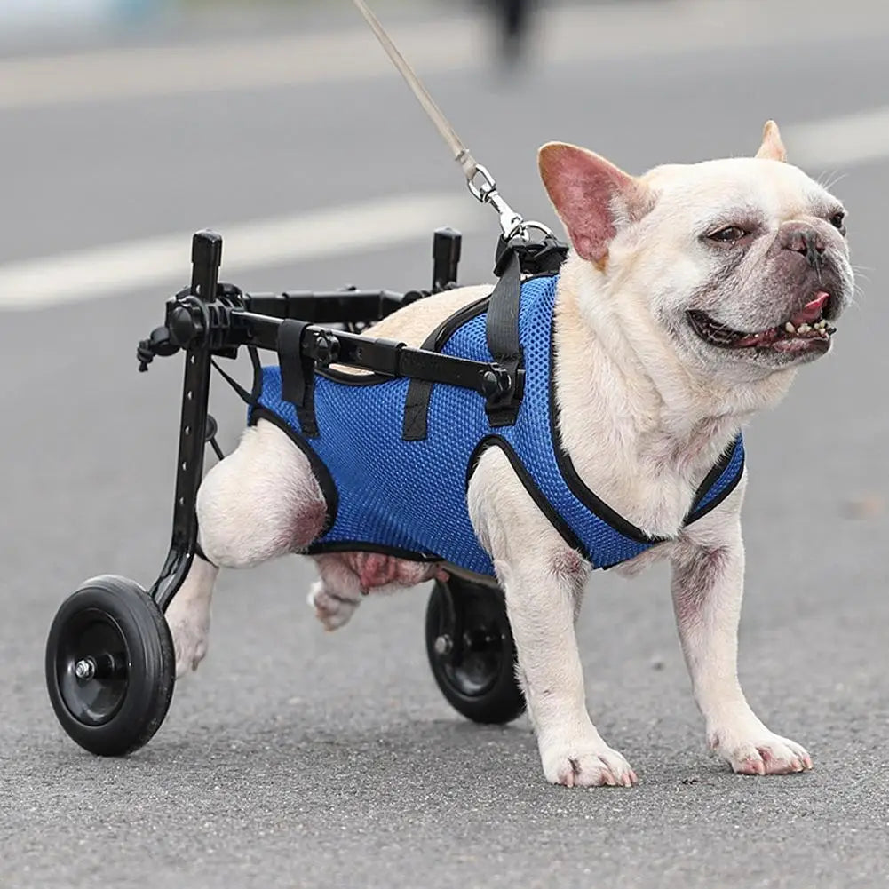 Sundhed & Pleje Rullestol til Hunde med Mobilitetsbegrænsninger