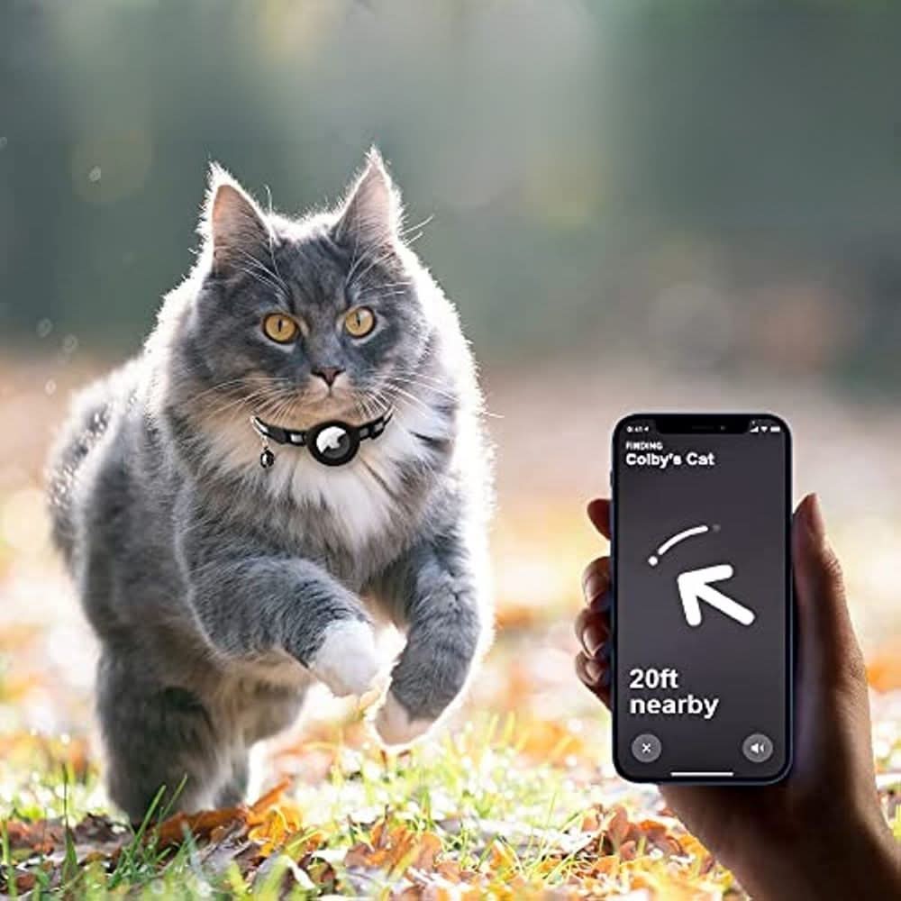 GPS Halsbånd til Katte med Reflekterende Design