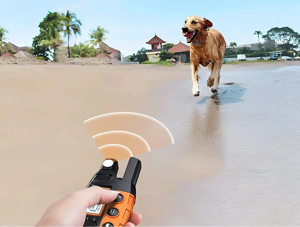 Vandtæt NovaPace 1000m Fjernbetjent Hundetræningskrave | Petprovac