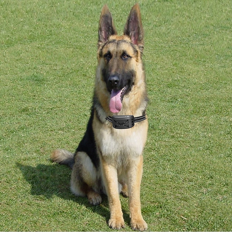 FidoFence Pro Trådløst Hundegitter System Med Halsbånd, 9–240 Meter | Petprovac