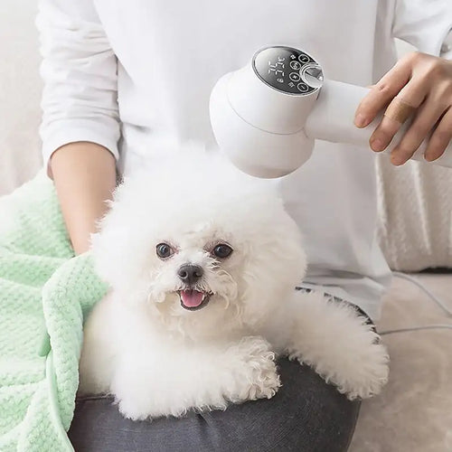 PurrfectDry - Støjsvag 2-i-1-Hårtørrer med Dyrebørste