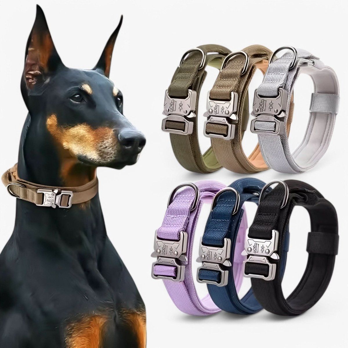 Hundehalsbånd med håndtag – Robust & Justerbart