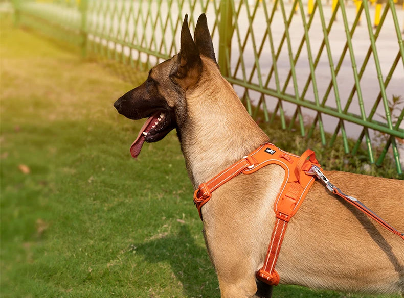 AstraPaw Nylon Hundesele Med Reflekterende Remme, Ingen Træk, Til Alle Størrelser