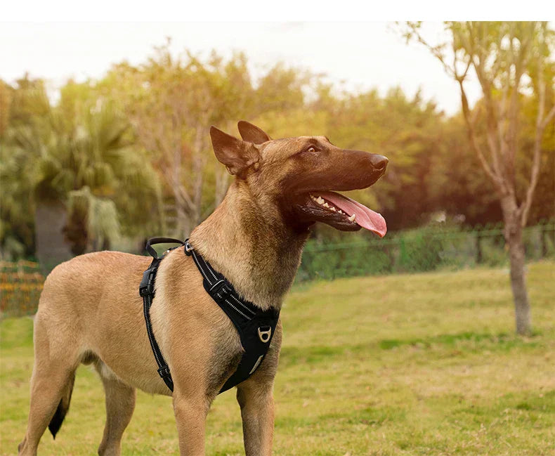 AstraPaw Nylon Hundesele Med Reflekterende Remme, Ingen Træk, Til Alle Størrelser