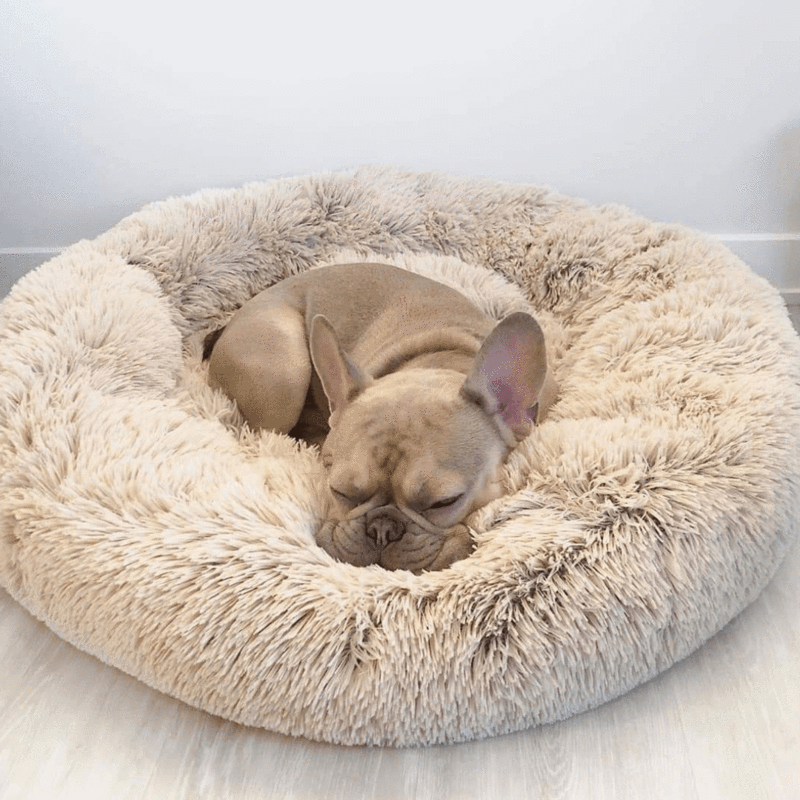 Hundeseng Sky – Blød komfort møder beroligende søvn