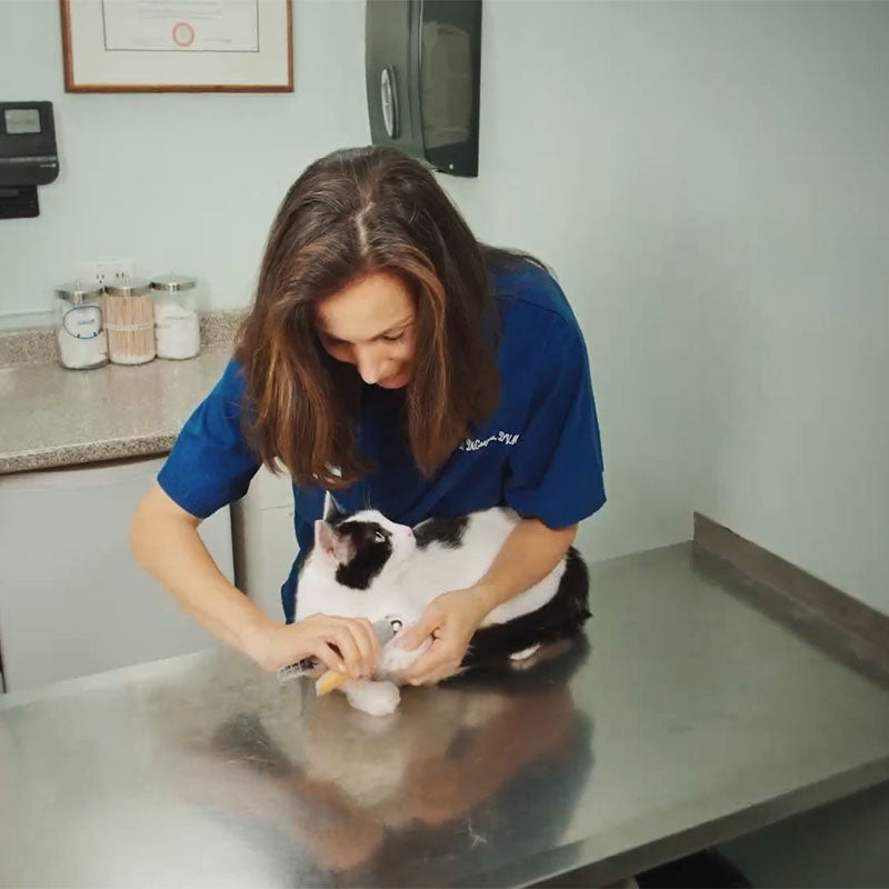 PawGuard Pro Negleklipper med Smart Quick Sensor Teknologi | Petprovac