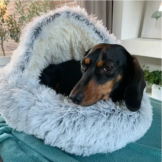 CozyPaws™ – Beroligende kæledyrsseng