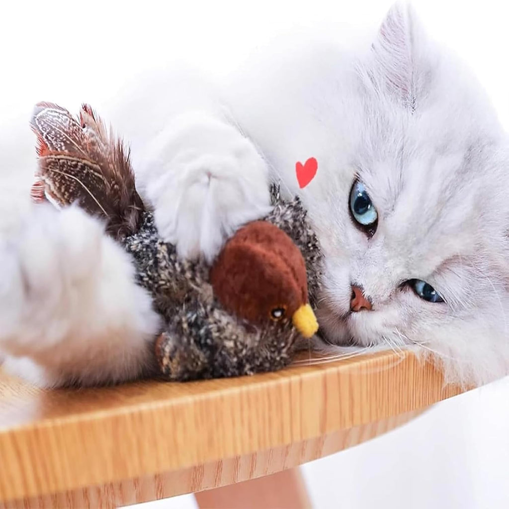 BirdHunting - Lad din kats naturlige jagtinstinkt blomstre!