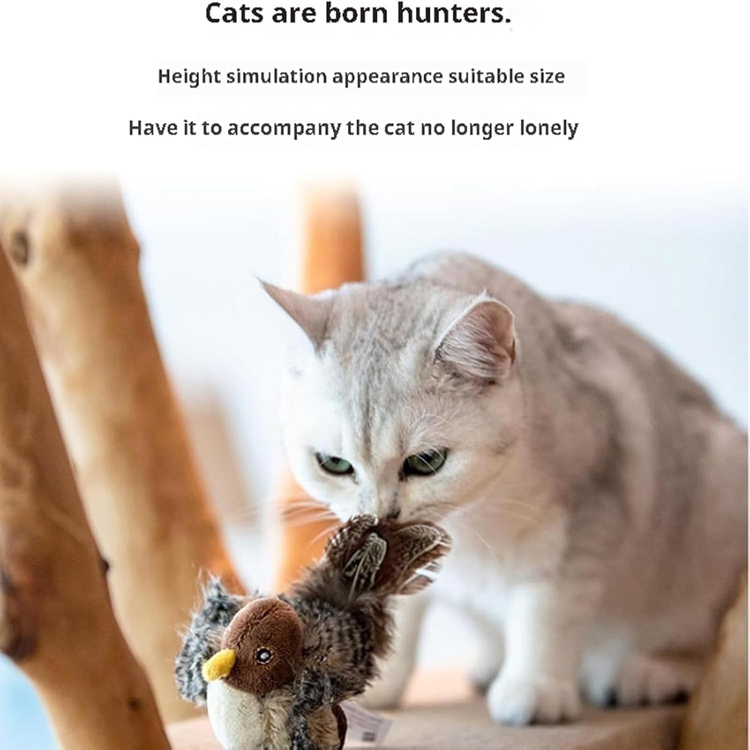 BirdHunting - Lad din kats naturlige jagtinstinkt blomstre!