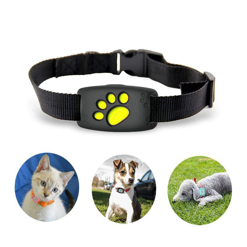 WhiskerGuard Pro GPS Halsbånd med Realtids Tracking