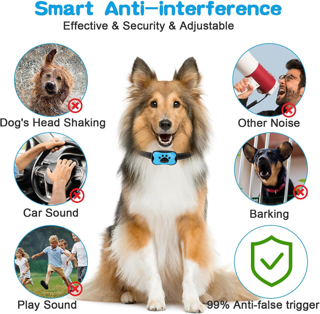 Hund Anti-Bark Krave med Justerbare Intensitetsniveauer