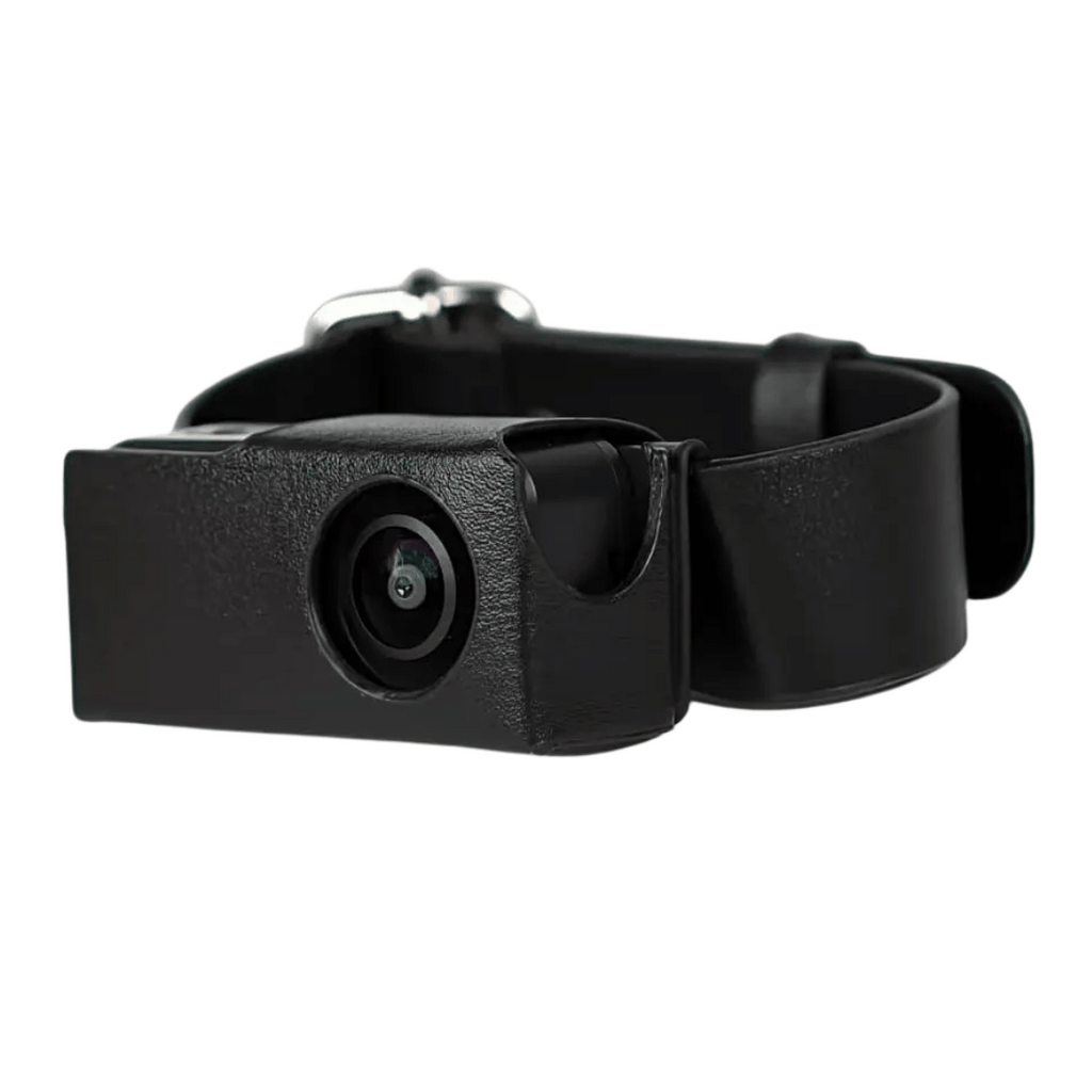 HD Pet Collar Kamera med 160° Linse til Hunde & Katte