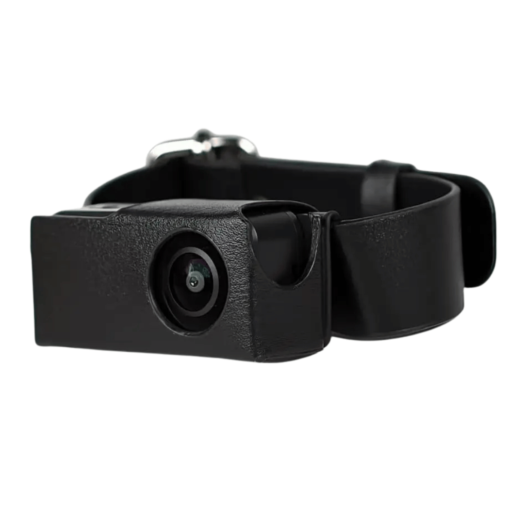 HD Pet Collar Kamera med 160° Linse til Hunde & Katte