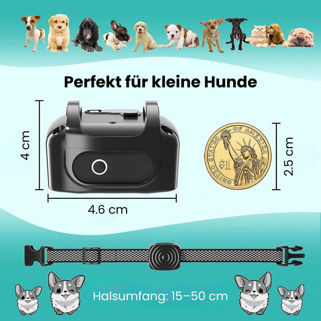 Hundebellhalsband | Anti Bell Halsband til Hunde | BellFrei