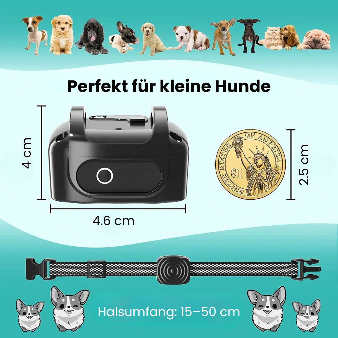 Hundebellhalsband | Anti Bell Halsband til Hunde | BellFrei