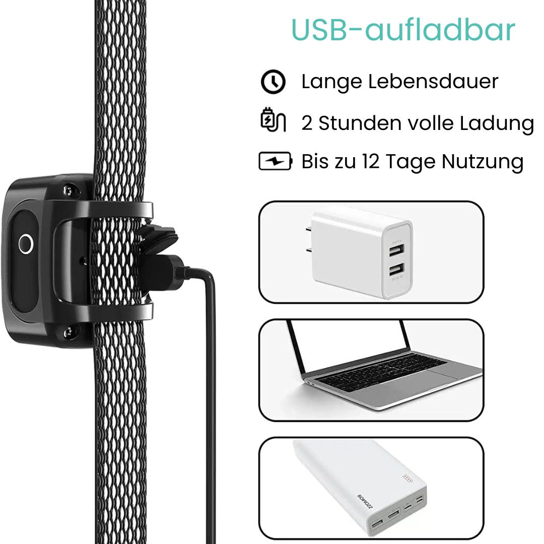 Hundebellhalsband | Anti Bell Halsband til Hunde | BellFrei