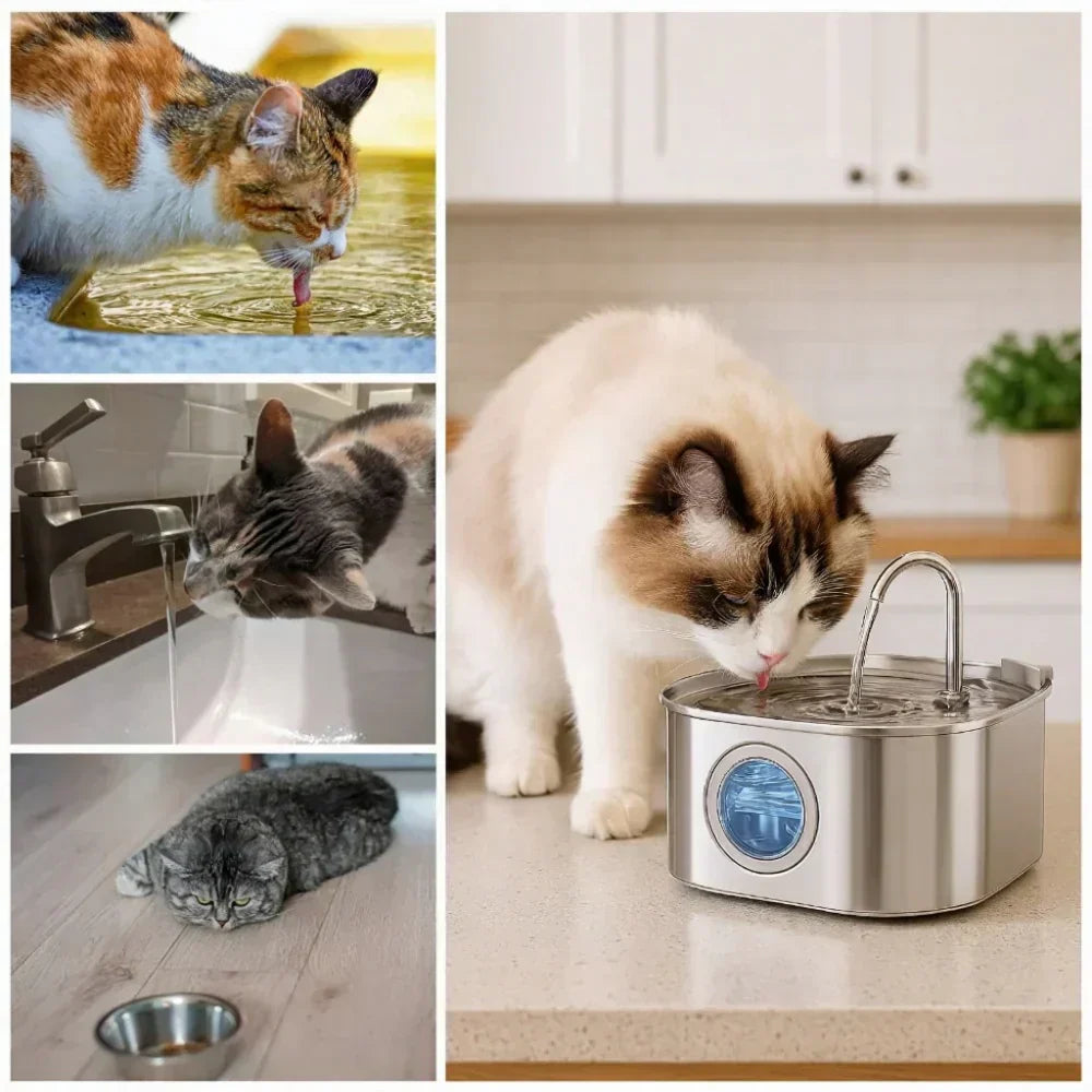SereneFlow Veterinær-Grad Kæledyrs Fontaine For Stille Drift Og Nem Rengøring