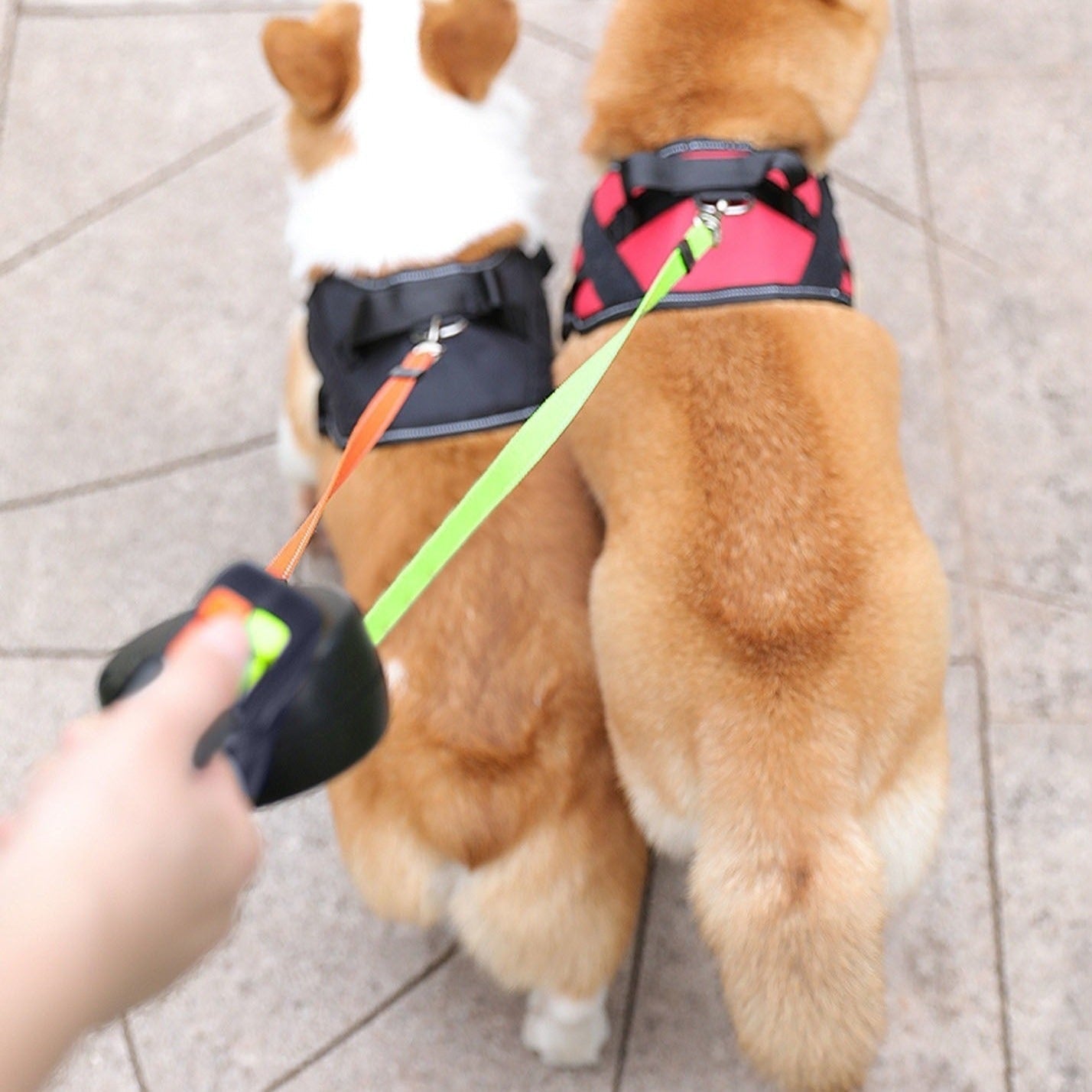Hund Dobbeltline med Affaldsposerholder & LED Lys | LeinenMeister