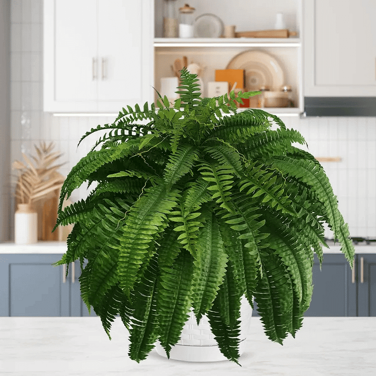 Kunstig Boston Fern til Udendørs - Livagtig & UV-Bestandig