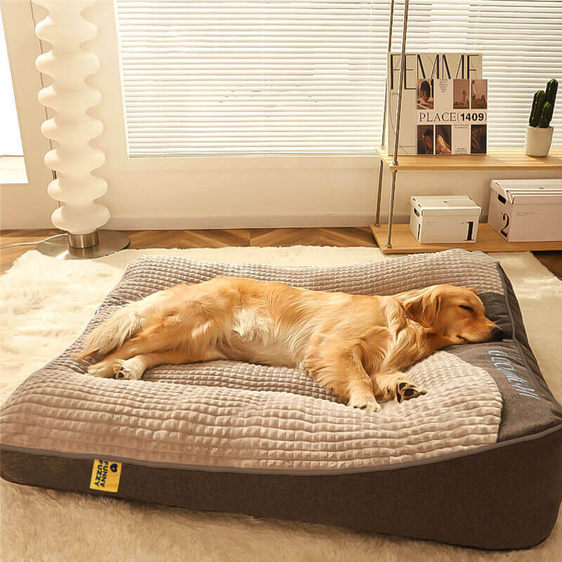 Ortopædisk Hundepude Stor – Luksus Memory Foam Hundeseng med Hovedstøtte