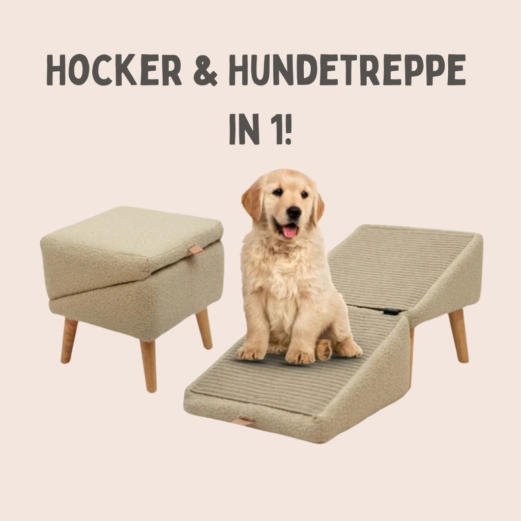 Hundetrappe til seng & sofa | Hunderampe & puff i ét | SofaVen