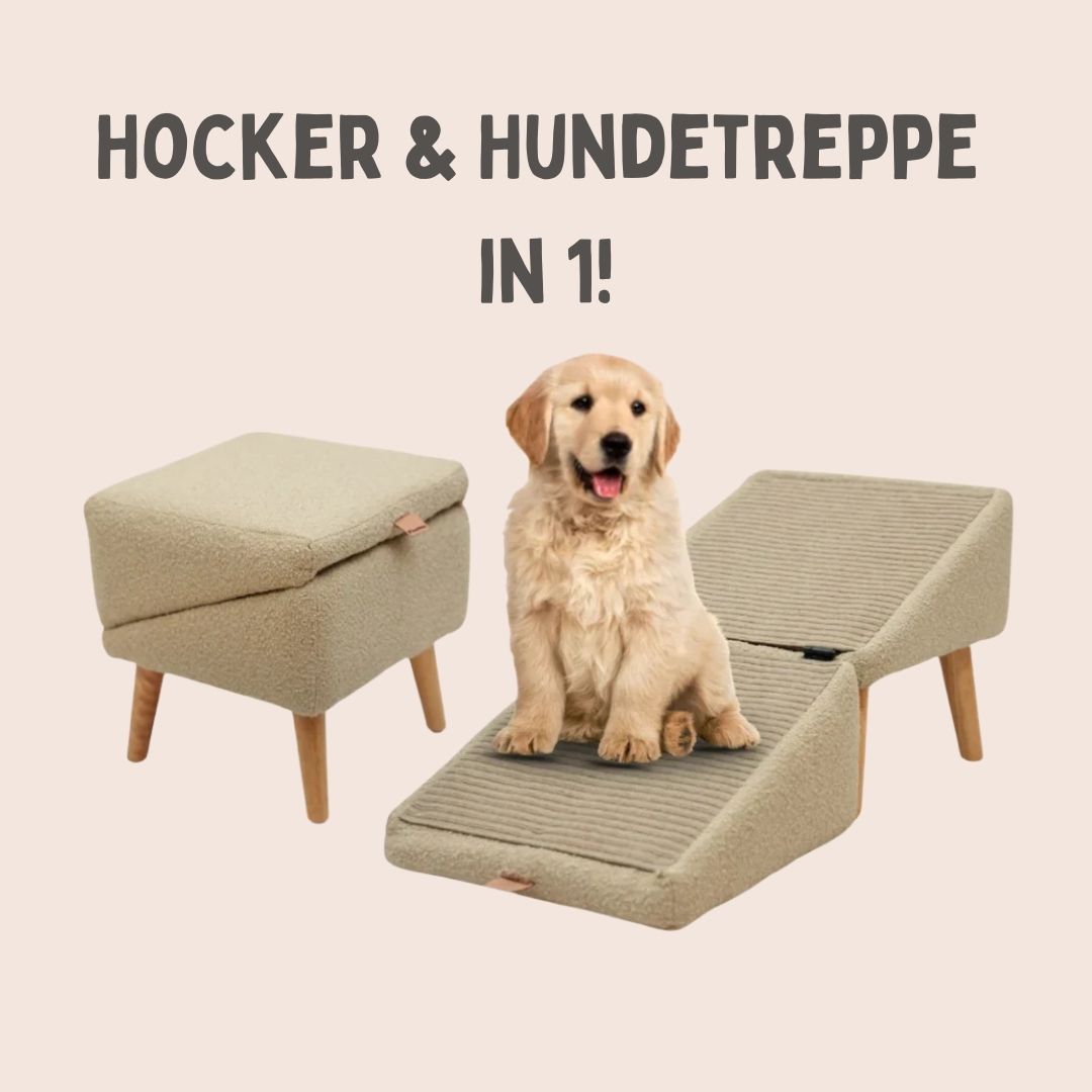 Hundetrappe til seng & sofa | Hunderampe & puff i ét | SofaVen