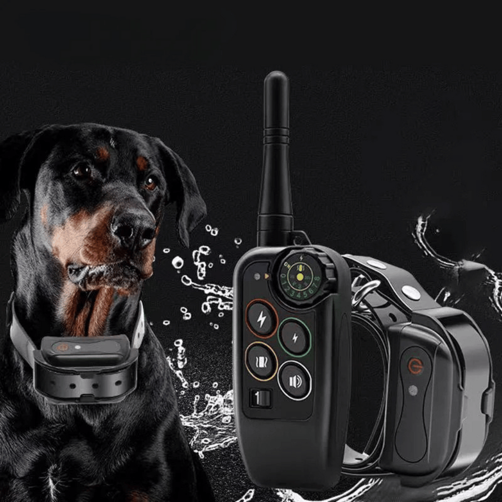 Lang rækkevidde 1000m vandtæt hundetræning E-halsbånd & fjernbetjening