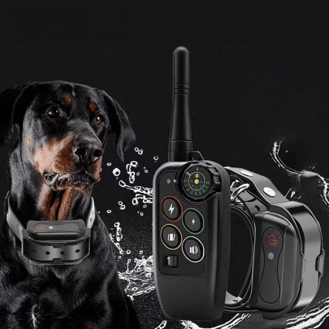 Lang rækkevidde 1000m vandtæt hundetræning E-halsbånd & fjernbetjening